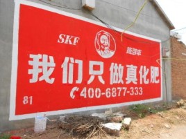  休宁刷墙广告”蕴含了时代命题