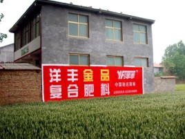  休宁如何让墙体广告展现最大化效果