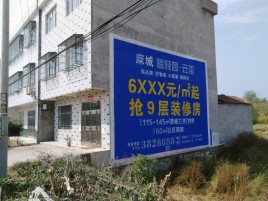  休宁墙体广告质量分析