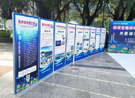  休宁KT板的种类和知识。